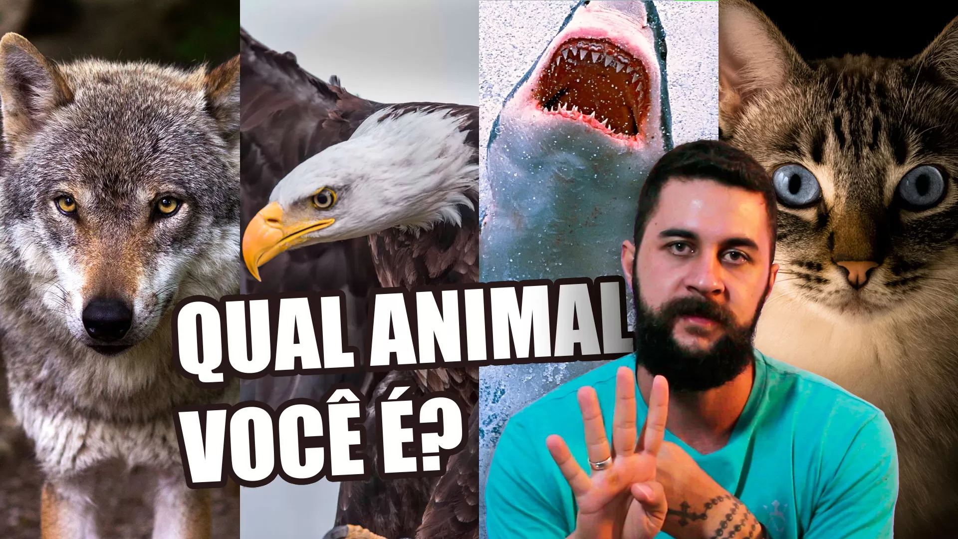 Entenda o que é Perfil Comportamental através dos animais Lobo Águia