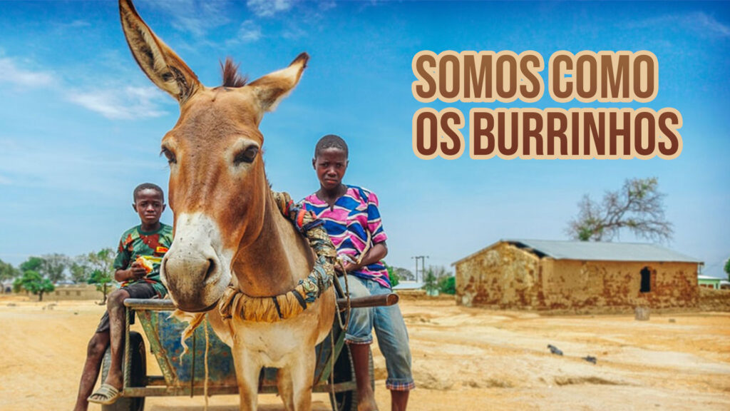 Nós somos como os burrinhos