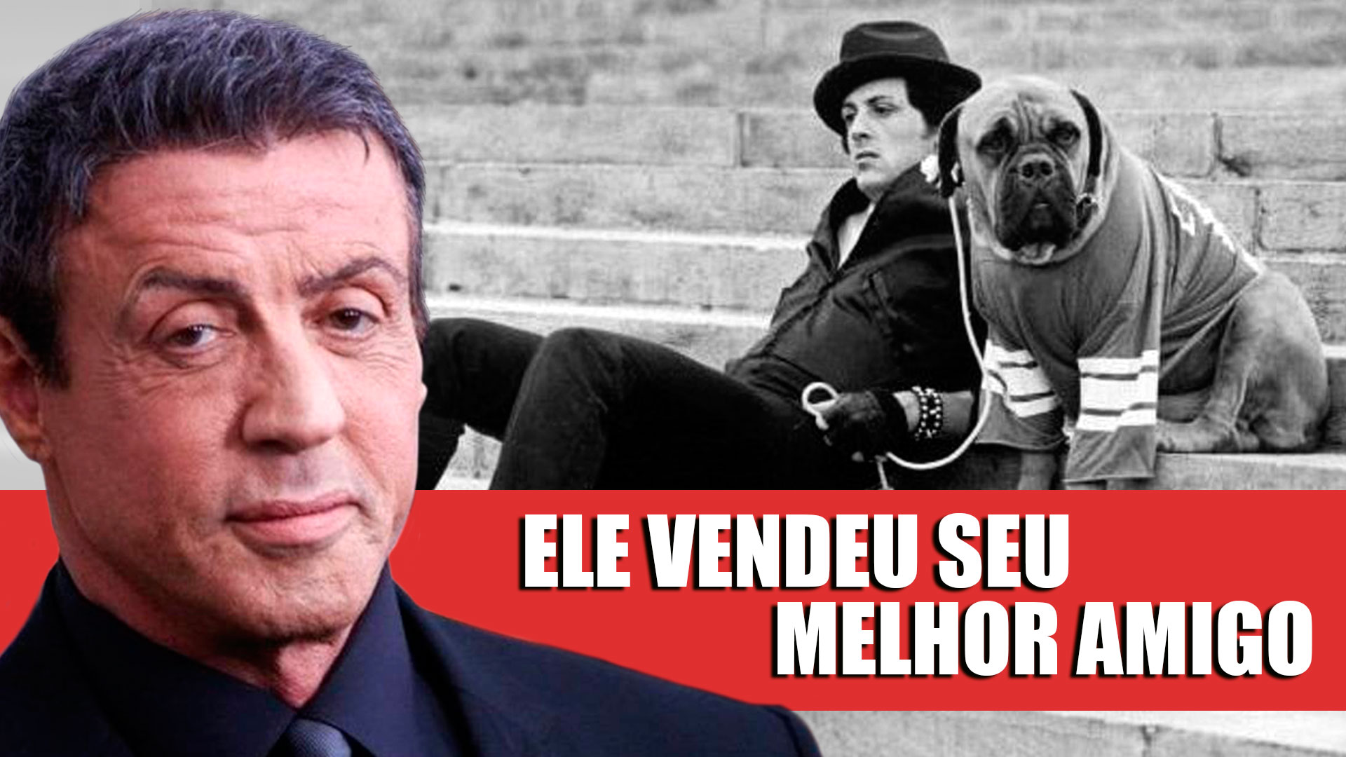 A história de Rocky o Sylvester Stallone