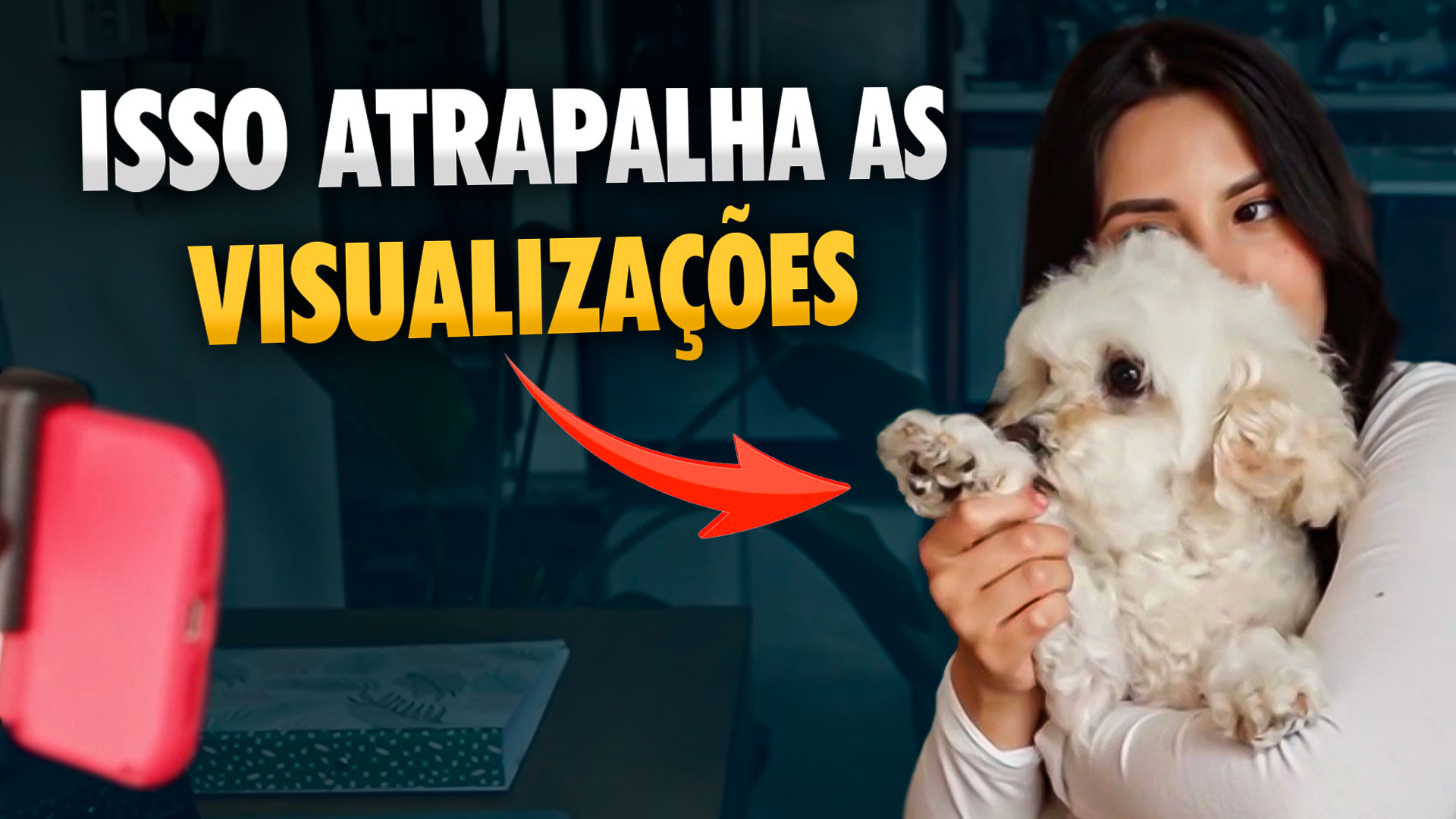 Crescer no Youtube a verdade que você precisa ouvir